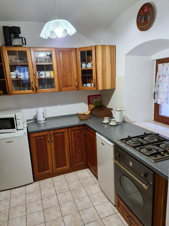Kuchyň nebo kuchyňský kout v ubytování Penzion Gerle
