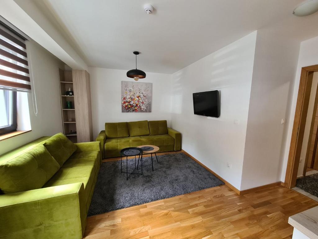 - un salon avec un canapé vert et une télévision dans l'établissement Vila Eskim Apartman Jelena, à Jahorina