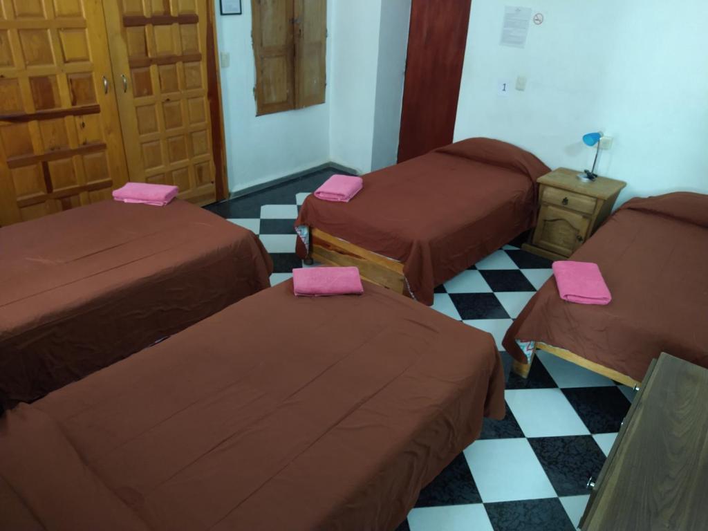 Casa Lupita Hostel - Bed In Gemengde Slaapzaal Met 4 Bedden