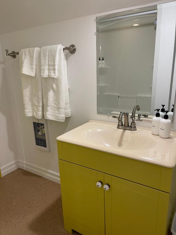 a bathroom with a green sink and a mirror at The Archie & Isidore Hotel in Chéticamp