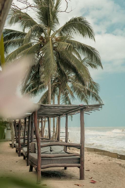 a row of benches on a beach with palm trees at Casa Coraje in Palomino