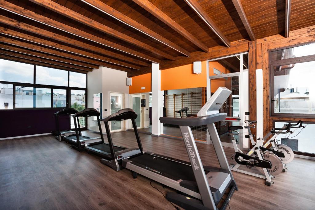 Fitness centrum a/nebo fitness zařízení v ubytování Active Life Exclusive B&B