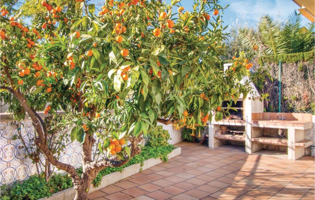A garden outside 7 Bedroom Lovely Home In Santa Susanna