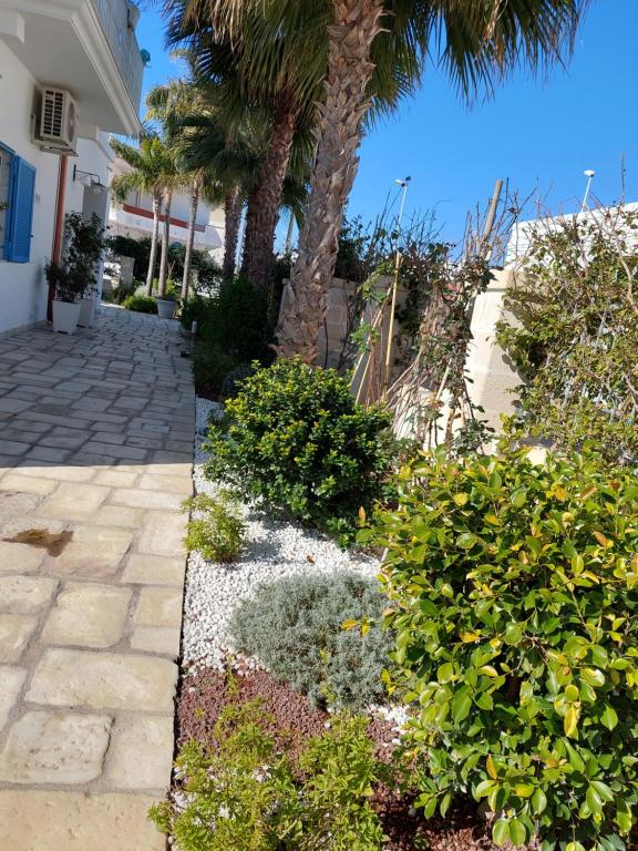 A garden outside B&B LA COLIMENA