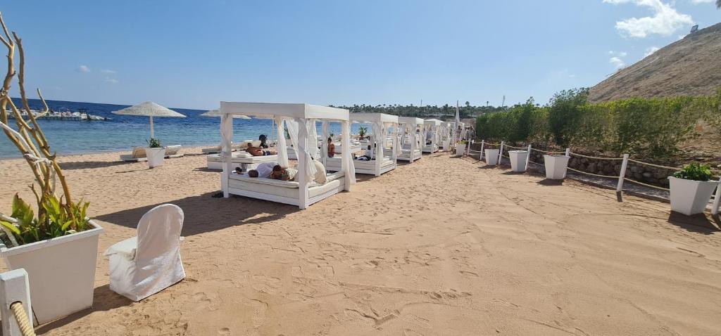- une rangée de lits sur une plage de sable dans l'établissement Apartment at domina coral bay aquamarine , resort spa e casino', à Charm el-Cheikh