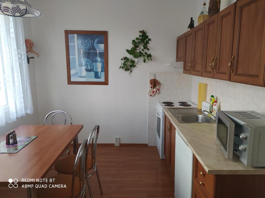 Kuchyň nebo kuchyňský kout v ubytování Apartmán v Srní