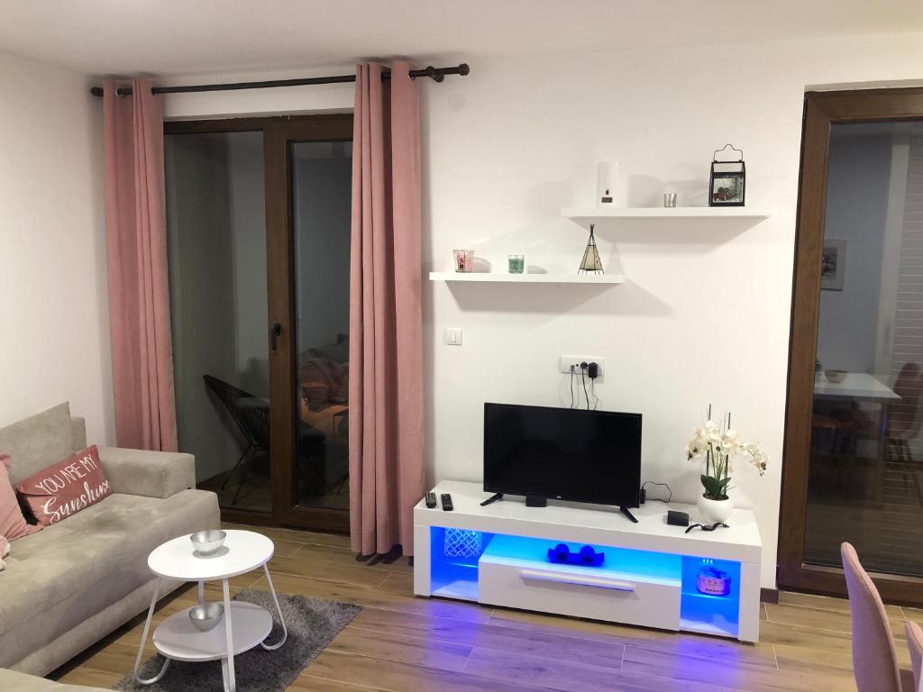 TV/Unterhaltungsangebot in der Unterkunft Apartman Borovi Divčibare