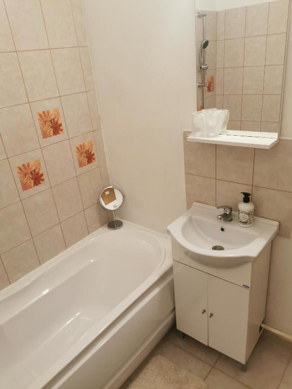 Koupelna v ubytování Casa de oaspeti Wallendorf Bistrita Unirea