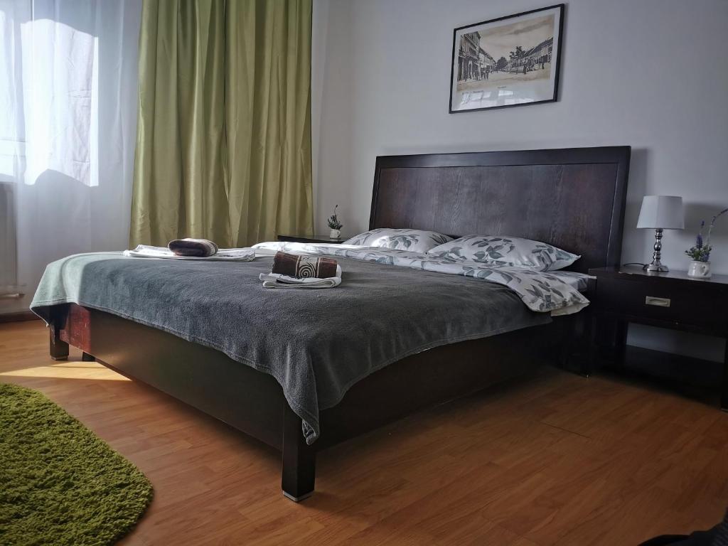 Postel nebo postele na pokoji v ubytování Casa de oaspeti Wallendorf Bistrita Unirea