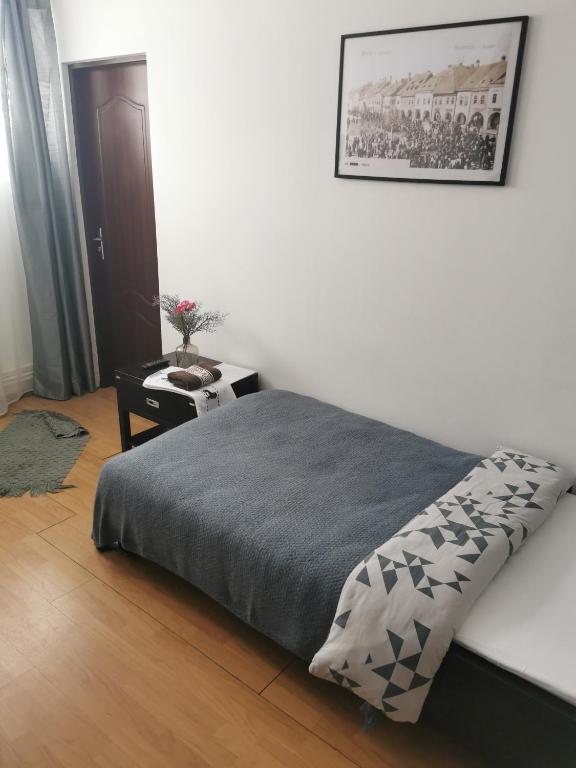 Postel nebo postele na pokoji v ubytování Casa de oaspeti Wallendorf Bistrita Unirea