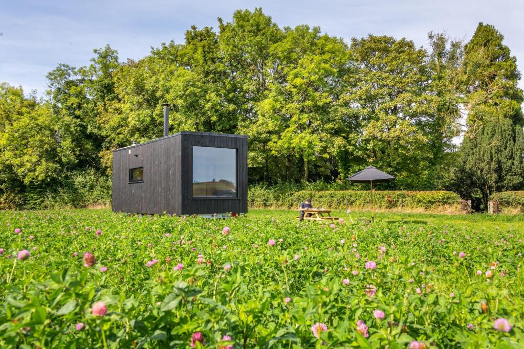 a tiny house in a field with a person sitting on a bench at Off-grid, Eco Tiny Home Nestled In Nature in Alton Pancras