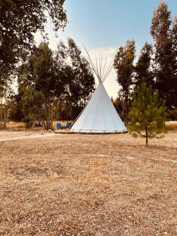 Příroda nedaleko luxury tent