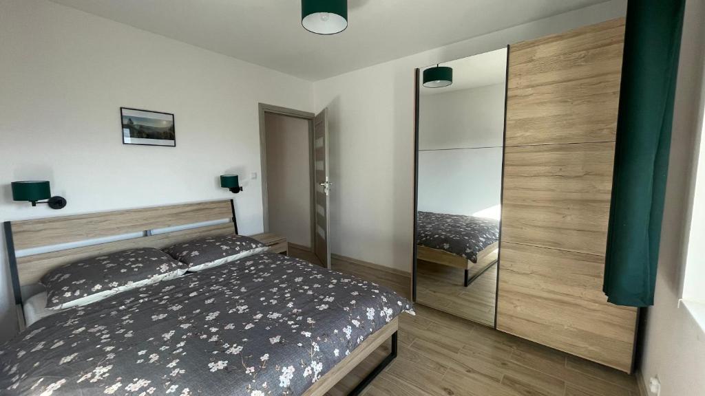 Dwupoziomowe Apartamenty Leszczyna - 6
