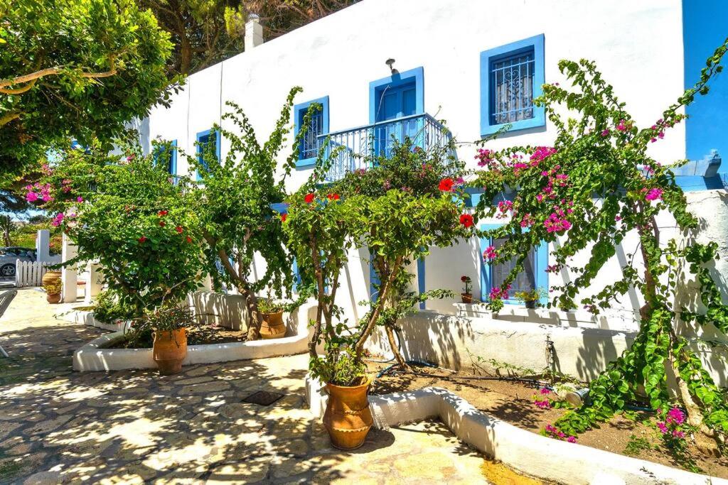 a white building with potted plants in front of it at Pleiades Alinda Bay Leros in Alinda
