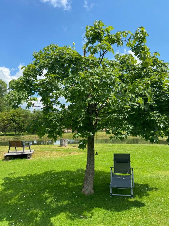 krzesło siedzące pod drzewem na polu w obiekcie DUET-ówka w mieście Dwernik