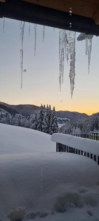 a view of a snow covered field with icicles at Penthouse Skyview im Natur-Erlebnispark Bad Kleinkirchheim in Patergassen