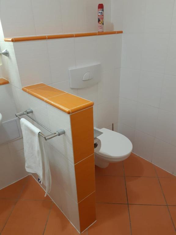 Koupelna v ubytování Apartmán Wellness hotel Frymburk