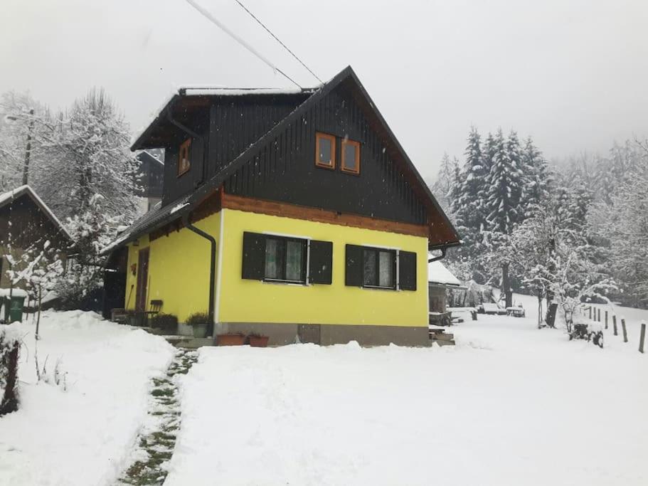 una casa amarilla y negra en la nieve en Kuća za odmor Forest Dream u blizini rijeke Kupe en Plešce