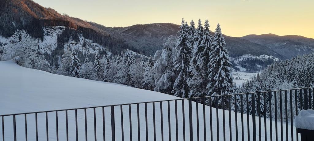 Gallery image of Penthouse Skyview im Natur-Erlebnispark Bad Kleinkirchheim in Patergassen