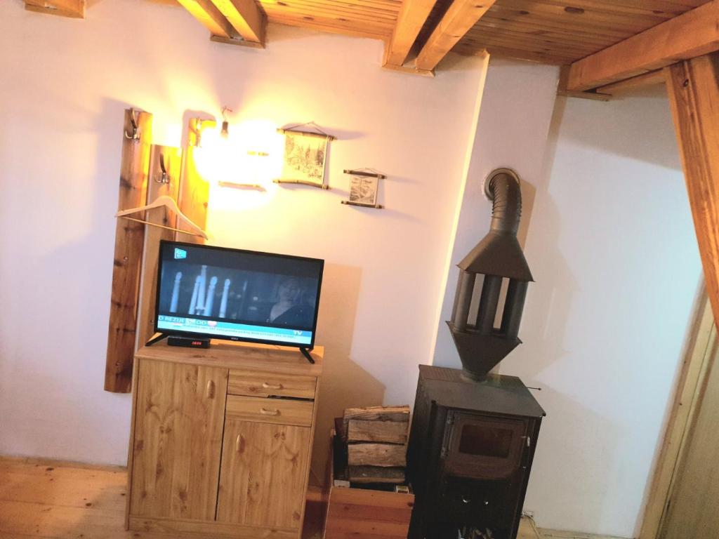 TV a/nebo společenská místnost v ubytování Vila Borovi
