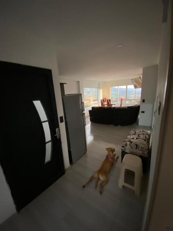 Domácí mazlíčci ubytovaní s hosty v ubytování CASA TOÑITA