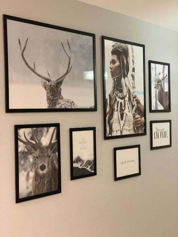 Fotografie z fotogalerie ubytování Ciudad de Jaca v destinaci Jaca