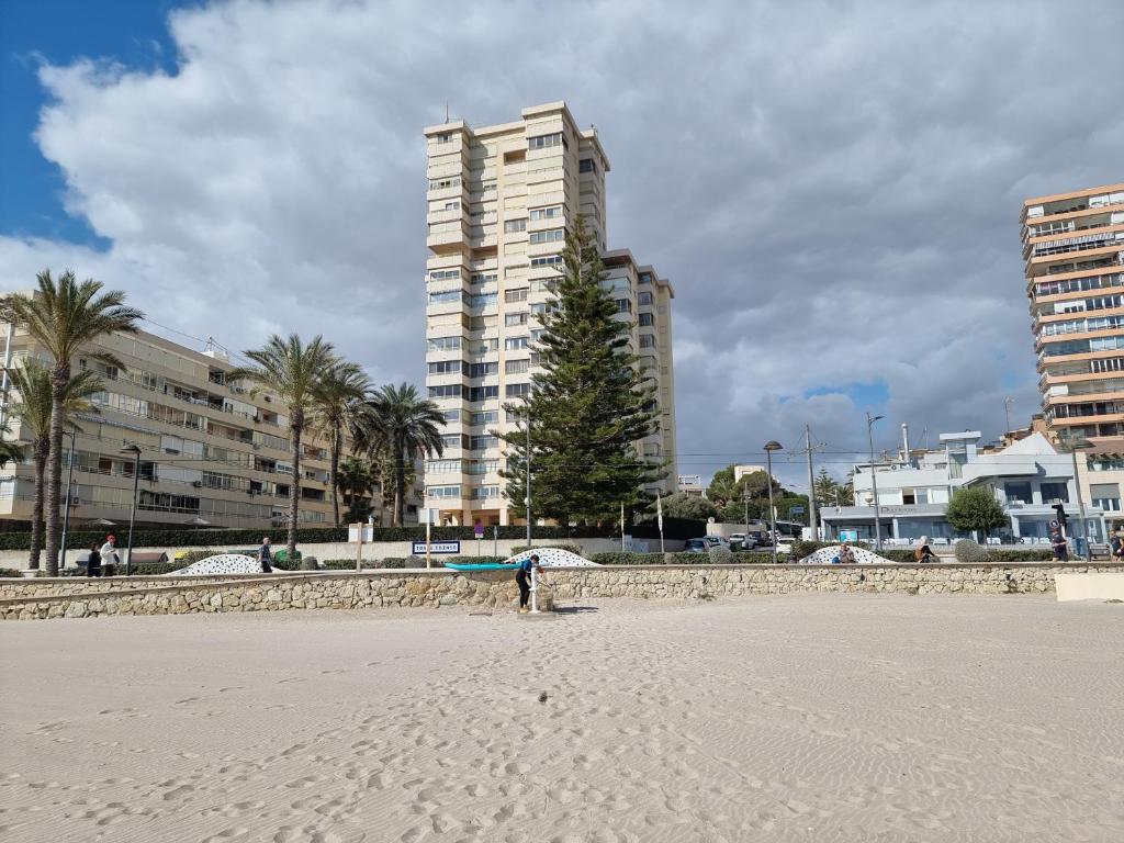 Torre Edinso (1ª linea Playa Muchavista), El Campello ...