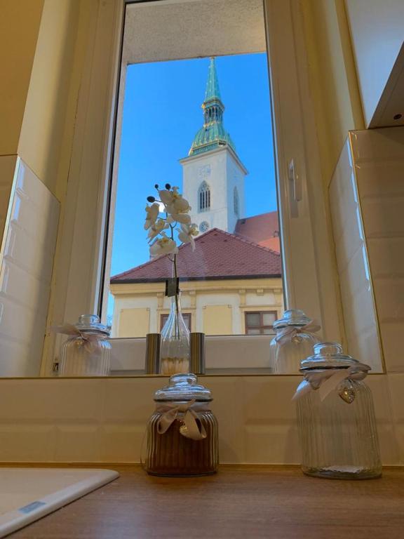 New Oldtown Apartment near St Martin Cathedral, Bratislava (updated