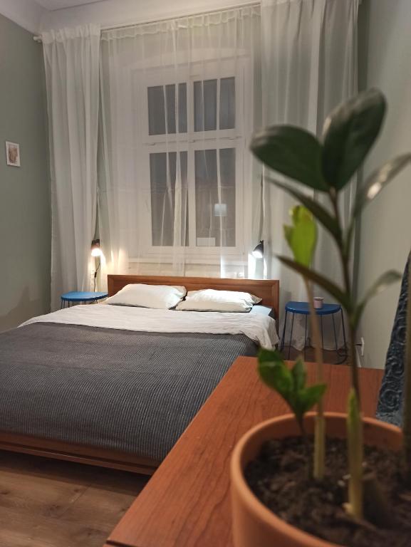 a bedroom with a bed and a potted plant at Apartament ROZETA centrum 6os in Legnica