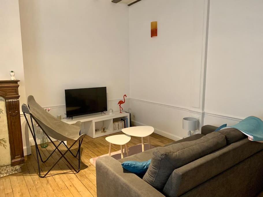 Aube berges de Troyes - Appartement - Niveau Partagé