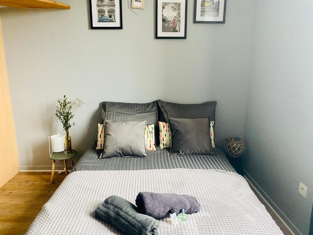 a bedroom with a bed with two pillows at Le Petit Curiste Metz Luxembourg Un-Séjour-à-Part in Rombas