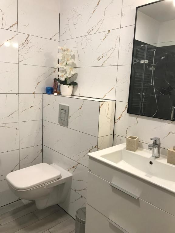 Kúpeľňa v ubytovaní SZKLARKA