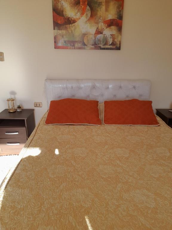 Entre tizones y brujos ( cabaña Maggie)