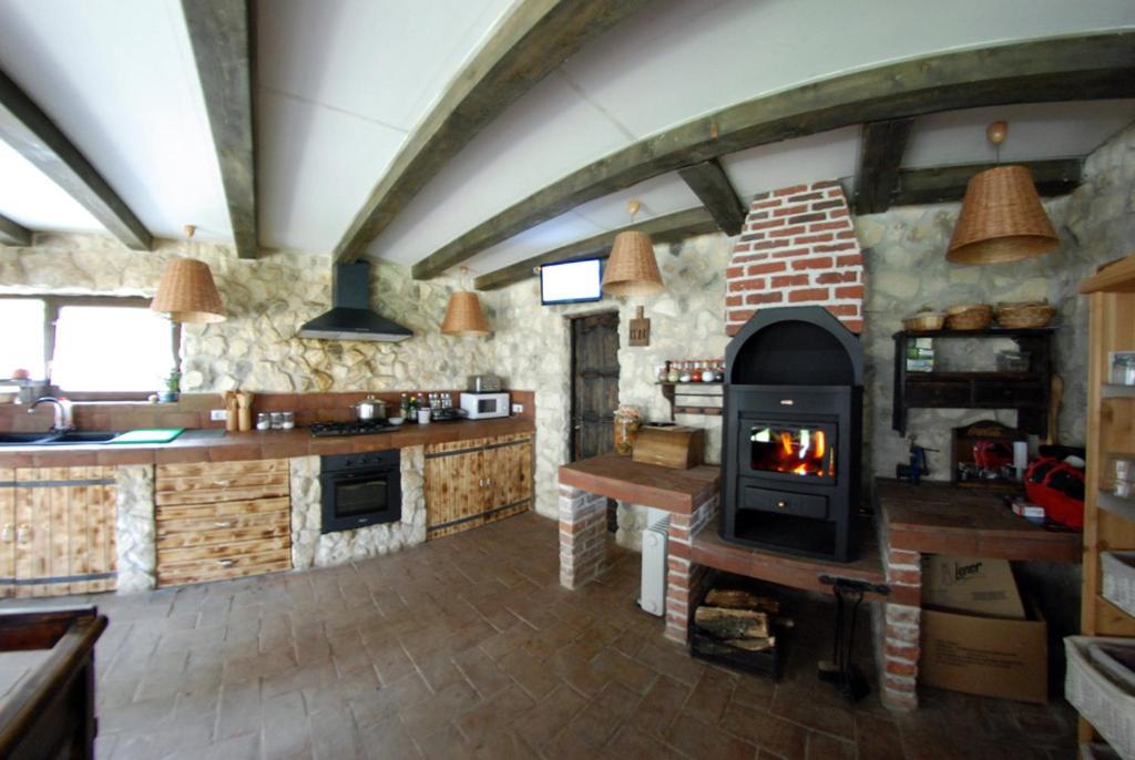Kuchyň nebo kuchyňský kout v ubytování Pensiunea Casa Dacilor