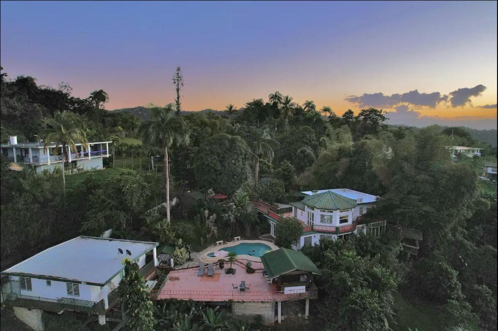 una vista aérea de una casa con piscina en Pancho's Paradise - Rainforest Guesthouse with Pool, Gazebo and View, en Canovanas