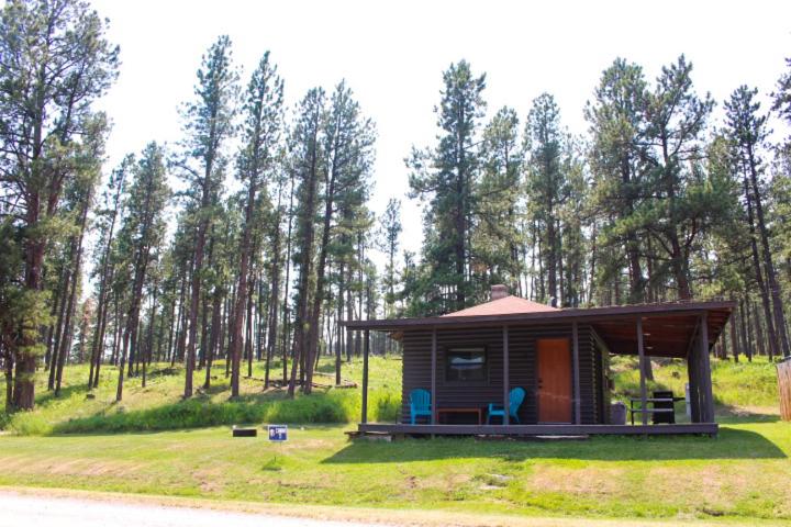 a small cabin with two blue chairs in a field at Cabin 5 at Horse Creek Resort in Rapid City