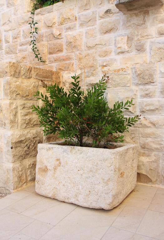 Fotografie z fotogalerie ubytování Apartment LuVi v destinaci Korčula