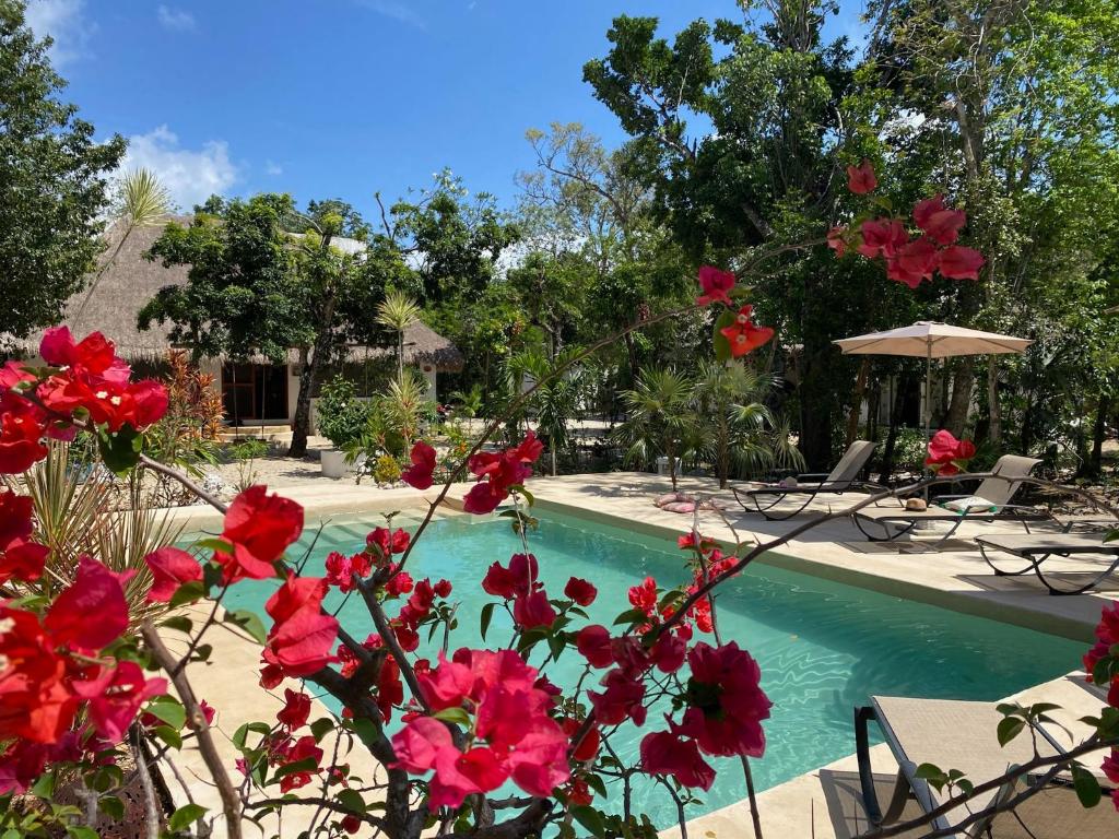 a pool at a resort with red flowers at Maya Eco Village in Akumal