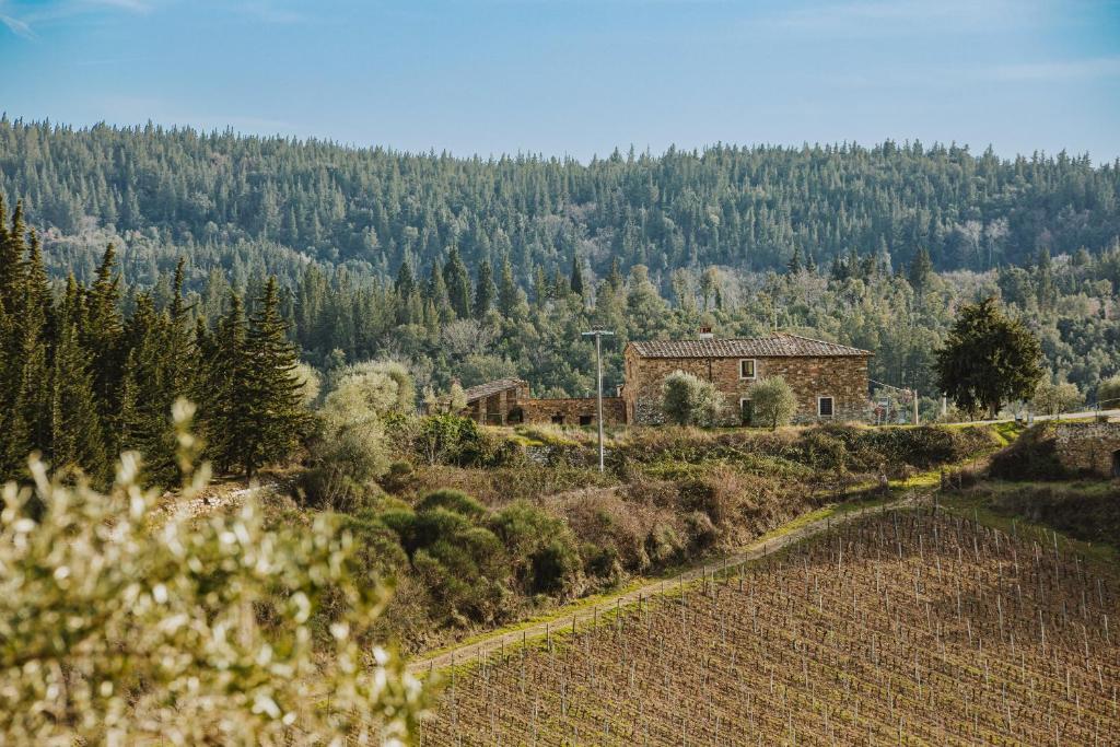 Podere Querceto – Photos 1