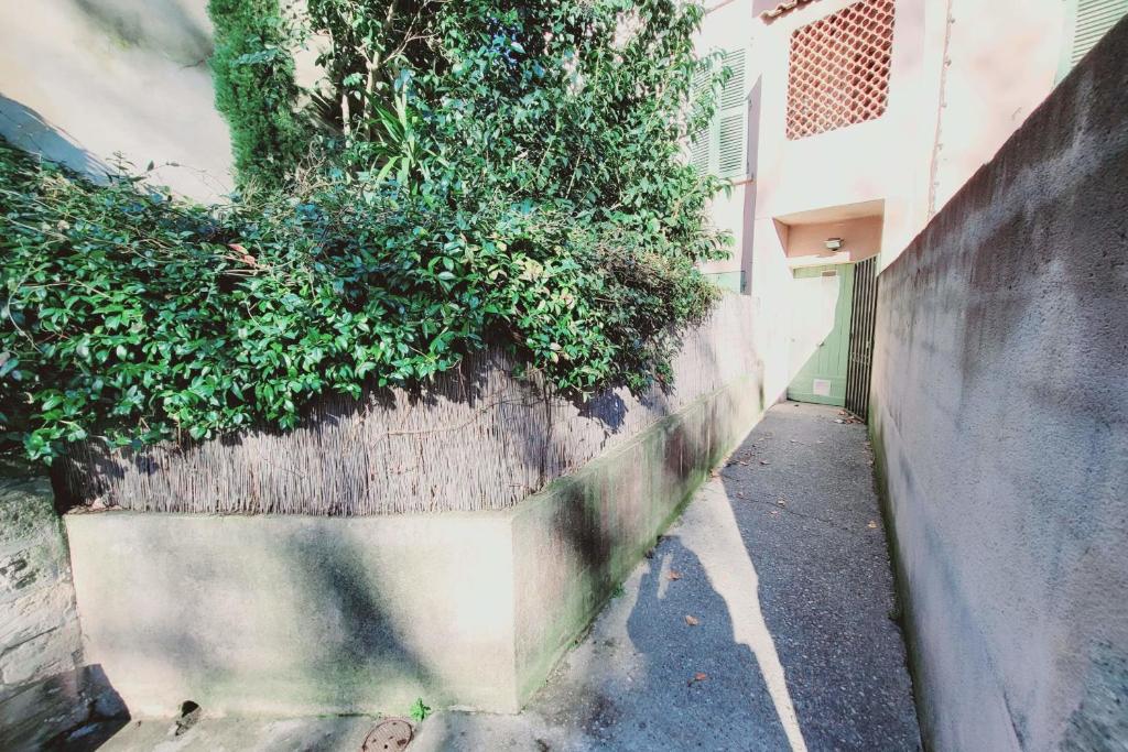 a concrete planter with plants on the side of a building at STUDIO of 24m with small patio in Avignon
