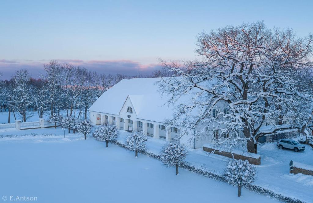 Sagadi Manor Hotel взимку