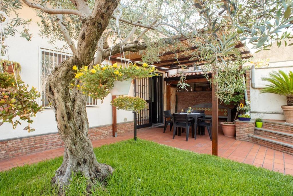 une terrasse avec un arbre, une table et des chaises dans l'établissement Casa dell'Ulivo, à Aci Bonaccorsi