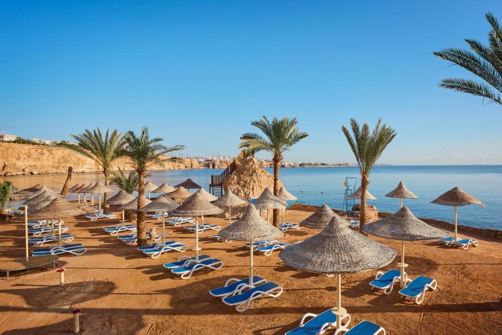 een stel stoelen en parasols op een strand bij Dreams Beach Resort - Sharm El Sheikh in Sharm El Sheikh
