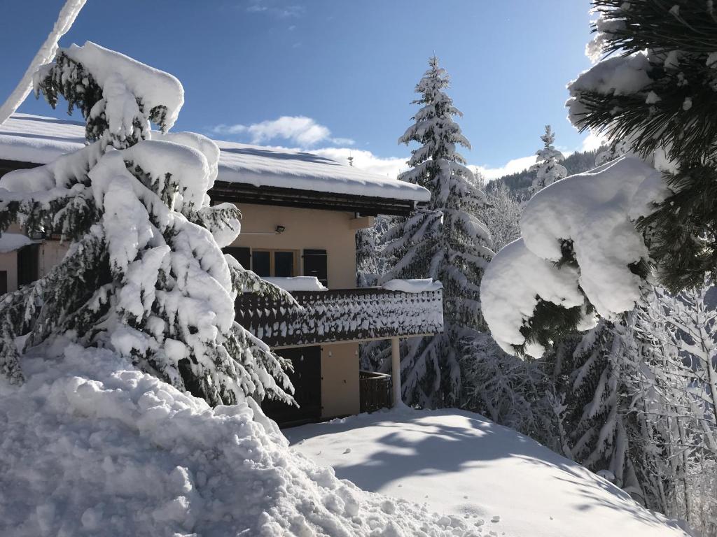 una casa cubierta de nieve junto a los árboles en Chalet les trolles en Les Gets