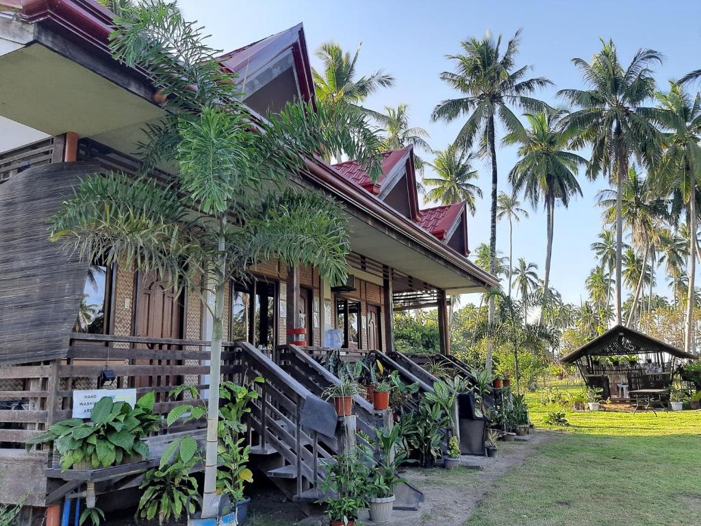 a house with palm trees in front of it at Marianne's Guest House in New Agutaya