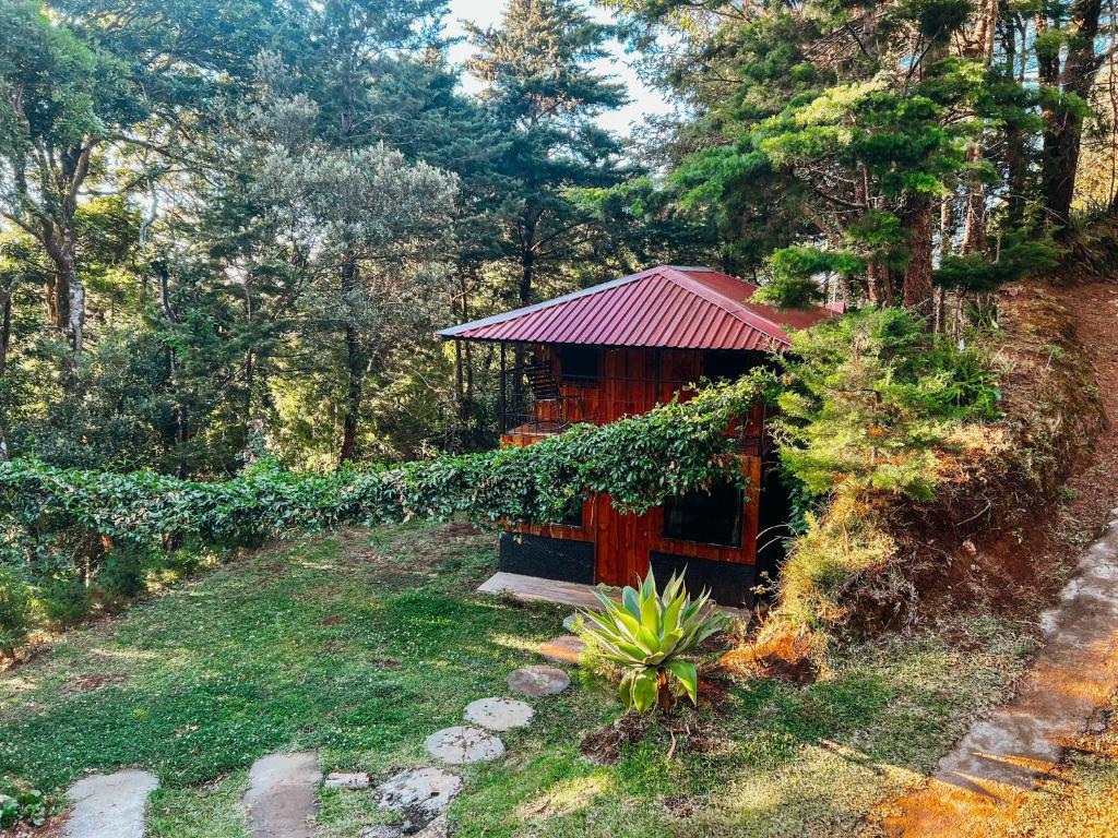 Cabaña pequeña con techo rojo en un bosque en Cabañas Queca!, en Poás