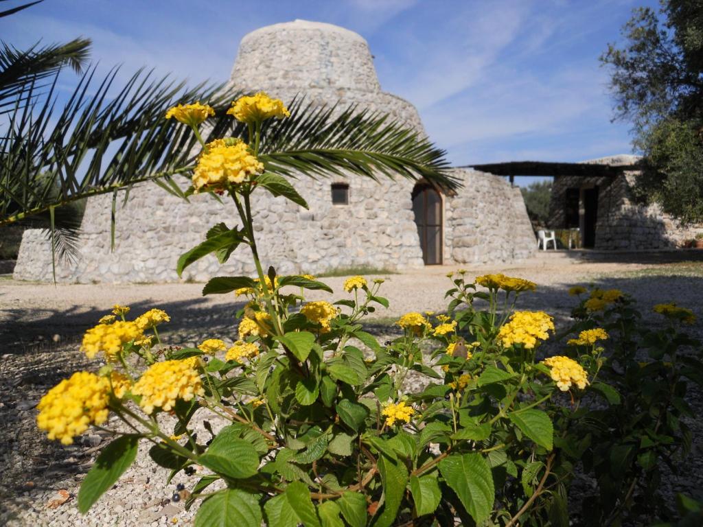 a plant with yellow flowers in front of a stone building at Agriturismo Specchiarussa in Morciano di Leuca