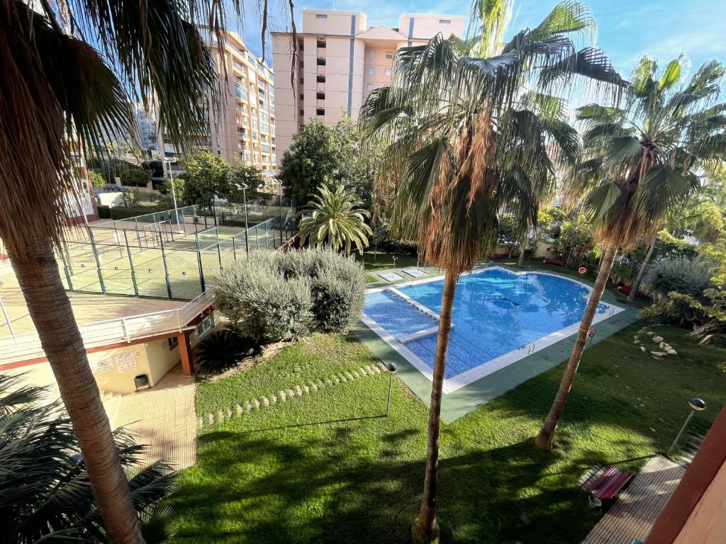 - une vue sur la piscine entre deux palmiers dans l'établissement A776 - Cala Esmeralda - 2004 Finestrat s.l., à La Vila Joiosa
