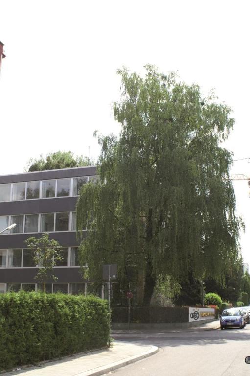 CREO Munich City - Resim 42