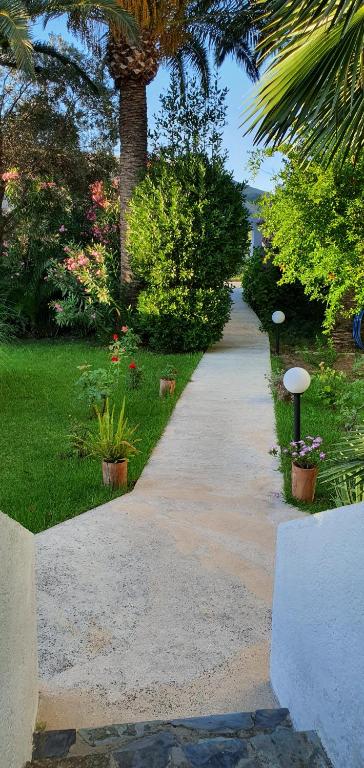 A garden outside Irini Studios